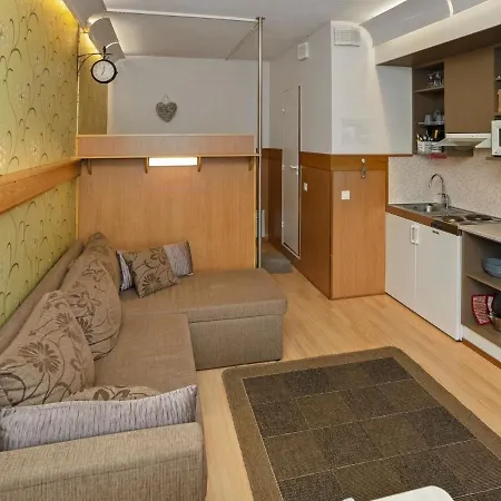 Snowflake B 24 By Interhome Ruka